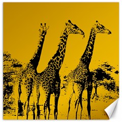 Giraffe  Canvas 20  X 20  by Valentinaart