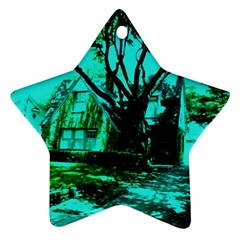 Hot Day In Dallas 50 Star Ornament (two Sides) by bestdesignintheworld