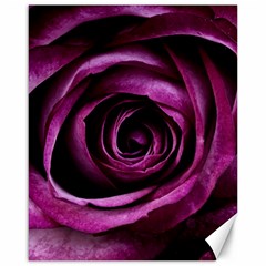 Plant Rose Flower Petals Nature Canvas 16  X 20  by Sapixe