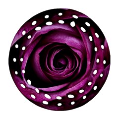 Plant Rose Flower Petals Nature Ornament (round Filigree)