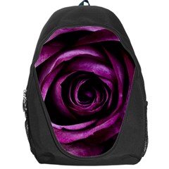 Plant Rose Flower Petals Nature Backpack Bag by Sapixe