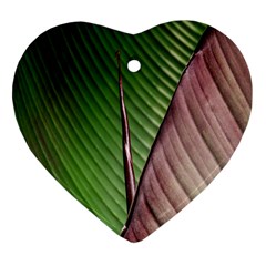 Leaf Banana Leaf Greenish Lines Heart Ornament (two Sides)