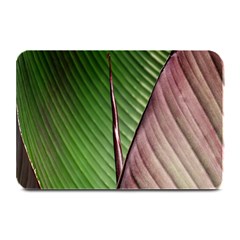 Leaf Banana Leaf Greenish Lines Plate Mats by Sapixe