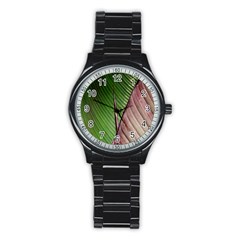 Leaf Banana Leaf Greenish Lines Stainless Steel Round Watch by Sapixe