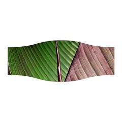 Leaf Banana Leaf Greenish Lines Stretchable Headband