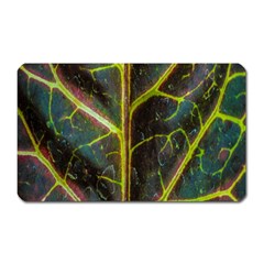 Leaf Abstract Nature Design Plant Magnet (rectangular)