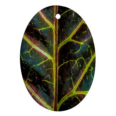 Leaf Abstract Nature Design Plant Oval Ornament (two Sides) by Sapixe