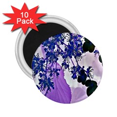 Blossom Bloom Floral Design 2 25  Magnets (10 Pack) 