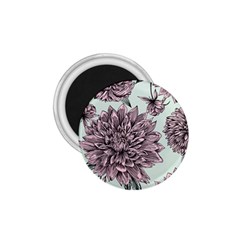 Flowers Flower Rosa Spring 1 75  Magnets