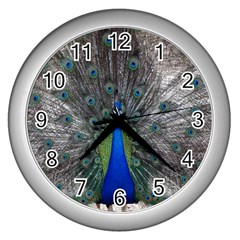 Peacock Bird Animals Pen Plumage Wall Clock (silver)