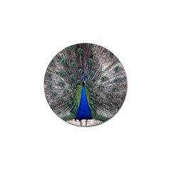 Peacock Bird Animals Pen Plumage Golf Ball Marker (4 Pack) by Sapixe
