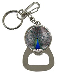 Peacock Bird Animals Pen Plumage Bottle Opener Key Chains by Sapixe