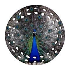 Peacock Bird Animals Pen Plumage Round Filigree Ornament (two Sides)