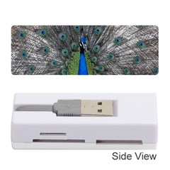 Peacock Bird Animals Pen Plumage Memory Card Reader (stick)