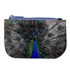 Peacock Bird Animals Pen Plumage Large Coin Purse by Sapixe