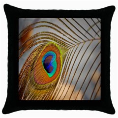 Peacock Feather Feather Bird Throw Pillow Case (black)