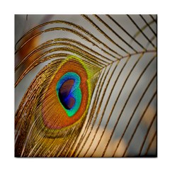 Peacock Feather Feather Bird Face Towel by Sapixe
