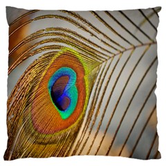 Peacock Feather Feather Bird Large Cushion Case (one Side)