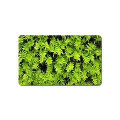Green Hedge Texture Yew Plant Bush Leaf Magnet (name Card) by Sapixe