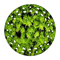 Green Hedge Texture Yew Plant Bush Leaf Ornament (round Filigree)