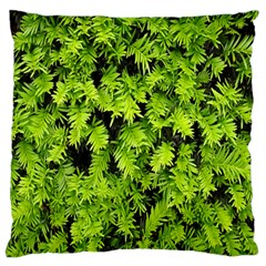 Green Hedge Texture Yew Plant Bush Leaf Standard Flano Cushion Case (one Side)