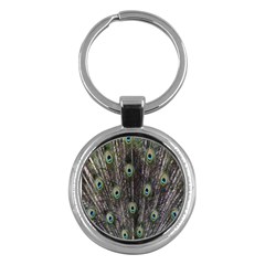 Background Peacock Feathers Key Chains (round)  by Sapixe