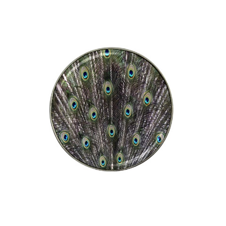 Background Peacock Feathers Hat Clip Ball Marker