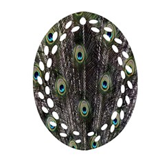 Background Peacock Feathers Ornament (oval Filigree) by Sapixe