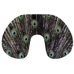 Background Peacock Feathers Travel Neck Pillows by Sapixe