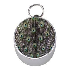 Background Peacock Feathers Mini Silver Compasses