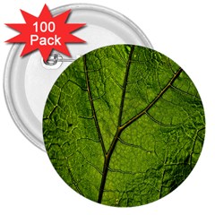 Butterbur Leaf Plant Veins Pattern 3  Buttons (100 Pack) 