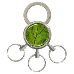 Butterbur Leaf Plant Veins Pattern 3-ring Key Chains