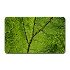 Butterbur Leaf Plant Veins Pattern Magnet (rectangular)