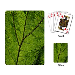 Butterbur Leaf Plant Veins Pattern Playing Cards Single Design