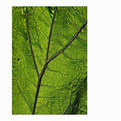 Butterbur Leaf Plant Veins Pattern Small Garden Flag (two Sides) by Sapixe