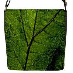 Butterbur Leaf Plant Veins Pattern Flap Closure Messenger Bag (s) by Sapixe