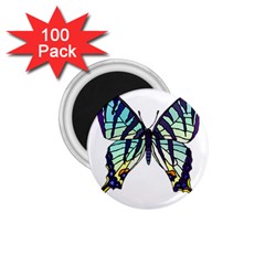 A Colorful Butterfly 1.75  Magnets (100 pack) 