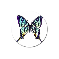 A Colorful Butterfly Magnet 3  (Round)