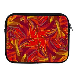 Colorful Abstract Ethnic Style Pattern Apple Ipad 2/3/4 Zipper Cases by dflcprints