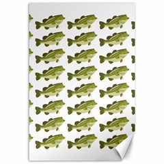 Green Small Fish Water Canvas 24  X 36 