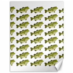 Green Small Fish Water Canvas 36  X 48 