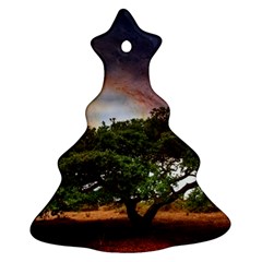 Lone Tree Fantasy Space Sky Moon Ornament (christmas Tree)  by Alisyart