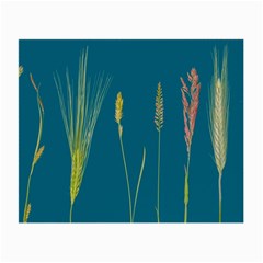 Grass Grasses Blade Of Grass Small Glasses Cloth (2-side)