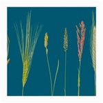 Grass Grasses Blade Of Grass Medium Glasses Cloth Front