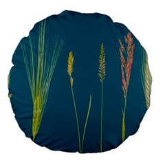 Grass Grasses Blade Of Grass Large 18  Premium Flano Round Cushions by Nexatart