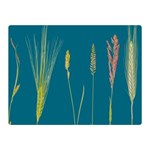 Grass Grasses Blade Of Grass Double Sided Flano Blanket (Mini)  35 x27  Blanket Back