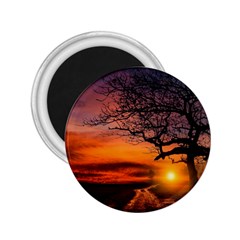 Lonely Tree Sunset Wallpaper 2 25  Magnets