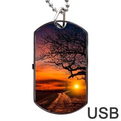 Lonely Tree Sunset Wallpaper Dog Tag Usb Flash (one Side)