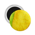 Green Yellow Leaf Texture Leaves 2.25  Magnets Front