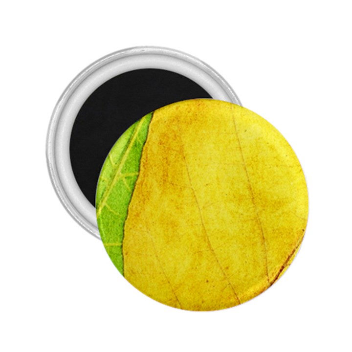 Green Yellow Leaf Texture Leaves 2.25  Magnets